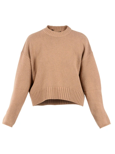 Shop Proenza Schouler Proenza Shouler Sweater In Brown