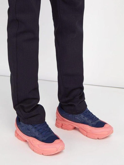 Raf simons ozweego pink blue online