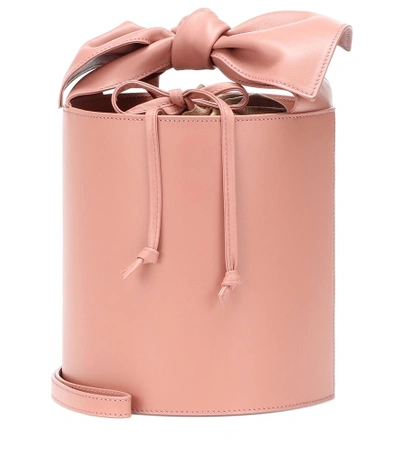 Shop Ulla Johnson Sofia Leather Bucket Bag In Pink