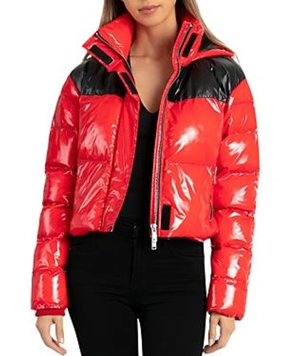 Shop Bagatelle.nyc Bagatelle. Nyc Cropped Hooded Puffer Jacket In Red
