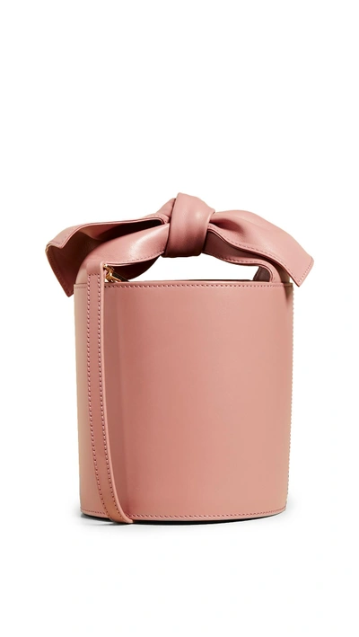 Shop Ulla Johnson Sophie Mini Bucket Bag In Clay