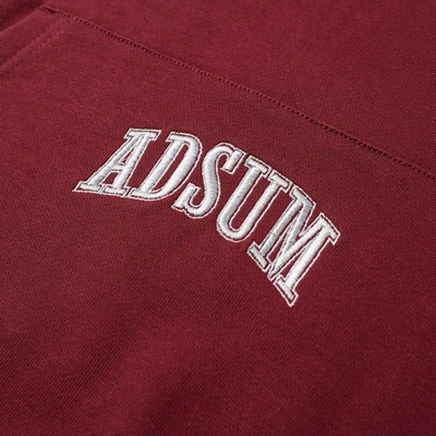 Shop Adsum Washed Collegiate Popover Hoody In Burgundy