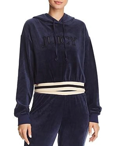 Shop Juicy Couture Black Label Luxe Velour Logo Hoodie In Royal Navy