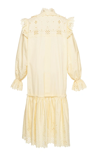 Shop Alberta Ferretti Long Sleeve Eyelet Cotton Blend Mini Dress In Yellow
