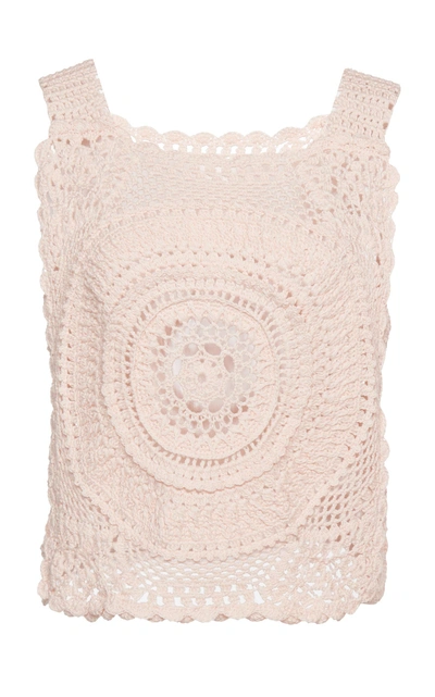 Shop Alberta Ferretti Eyelet Cotton Knit Top In Pink