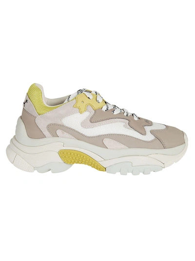Shop Ash Chunky Sneakers In Grey/yellow