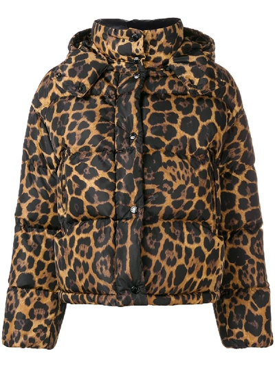 Shop Moncler Animalier Print Padded Jacket In Brown