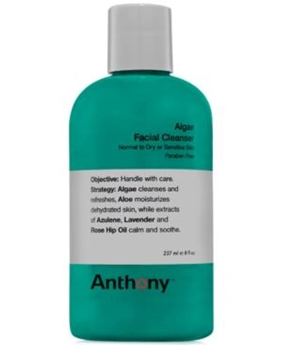 Shop Anthony Algae Facial Cleanser, 8 oz