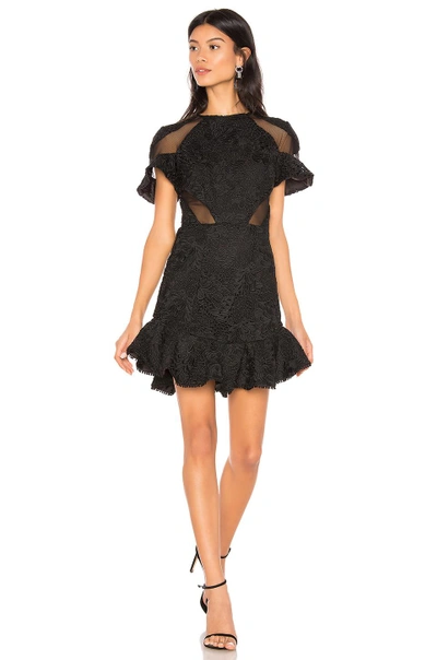 Shop Karina Grimaldi Lila Mini Dress In Black