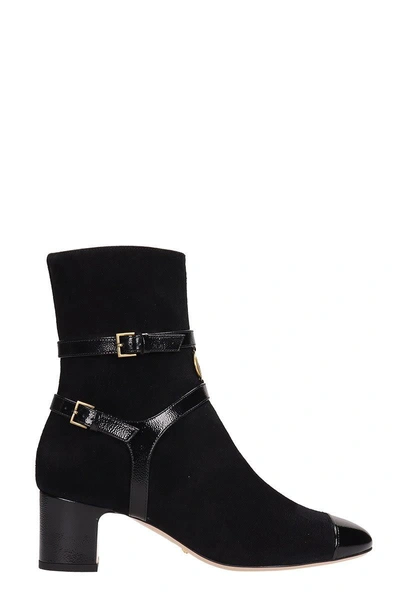 Shop Gucci Black Suede Ankle Boots