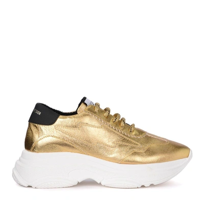 Shop Leo Studio Design Bale Golden Fabric Sneaker In Oro