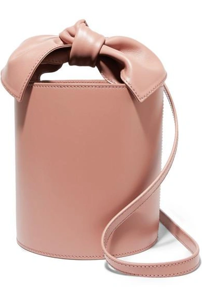 Shop Ulla Johnson Sophie Mini Leather Bucket Bag In Blush