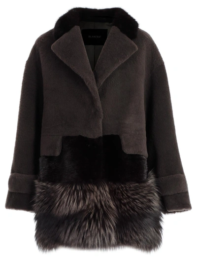 Shop Blancha Fur Paneled Jacket In Licorice