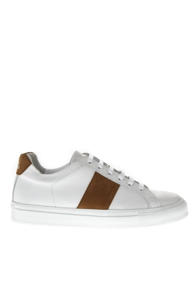 Shop National Standard 4 Edition White Leather Sneakers In Black