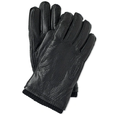 Shop Norse Projects X Hestra Utsjo Glove In Black