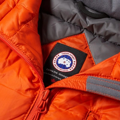 Shop Canada Goose Lodge Jacket In Orange