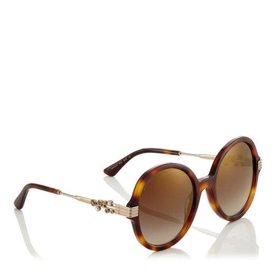 Shop Jimmy Choo Adria Dark Havana And Light Gold Round Framed Sunglasses With Swarovski Crystals And Pearls In Ejl Brown Gold