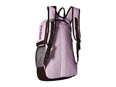 evercat fraction backpack