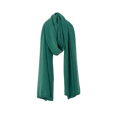 Shop Arela Alma Cashmere Scarf In Laurel Green