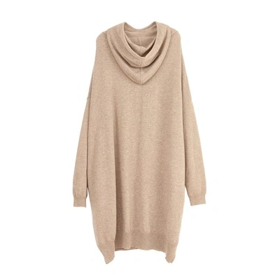 Shop Arela Aspen Cashmere Hoodie In Soft Brown
