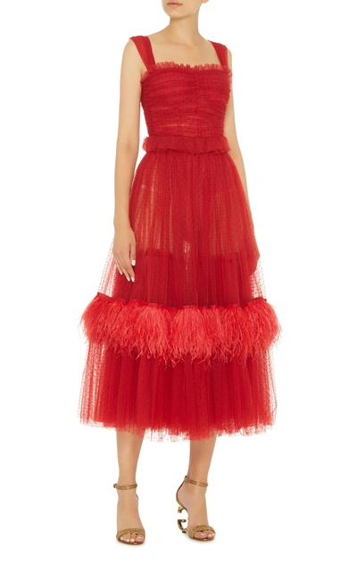 Shop Dolce & Gabbana Feather-embellished Tulle Midi Dress In Red