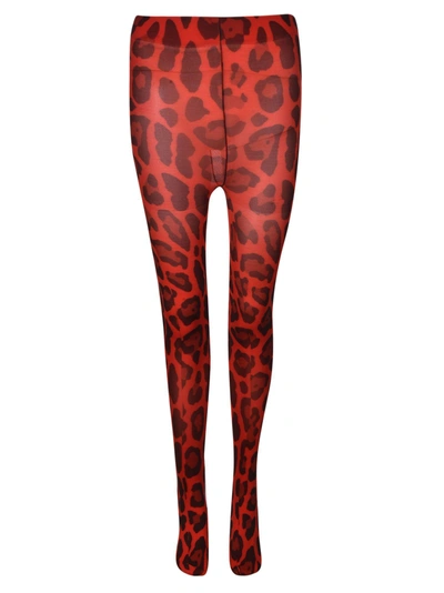 Tom Ford Leopard Print Leggings In Red/black
