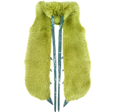 Shop Gucci Coats & Jackets Praying Mantis Green Fox Fur Stole