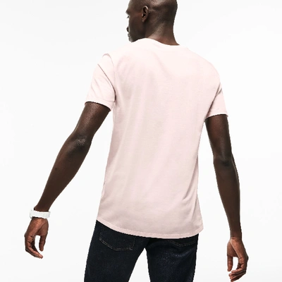 Shop Lacoste V Neck Cotton Pima T-shirt - L - 5 In Light Pink