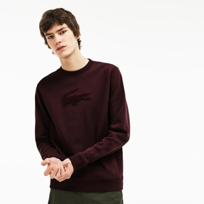 Shop Lacoste Men's Crew Neck Felt Crocodile Fleece Sweatshirt In Brown