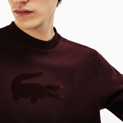 Shop Lacoste Men's Crew Neck Felt Crocodile Fleece Sweatshirt In Brown