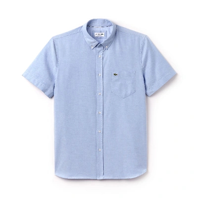 Shop Lacoste Men's Regular Fit Oxford Cotton Shirt - 16â½ - 42 In Blue