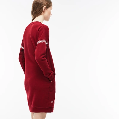 Shop Lacoste Women's Contrast Bands Sweatshirt Dress In Bordeaux / Beige