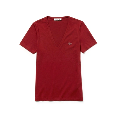 Shop Lacoste Women's Slim Fit V-neck Cotton Jersey T-shirt