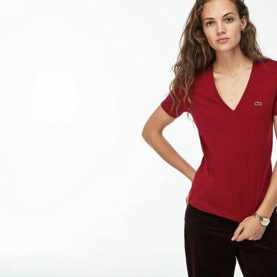 Shop Lacoste Women's Slim Fit V-neck Cotton Jersey T-shirt