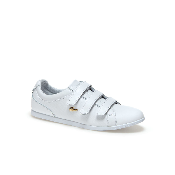 lacoste rey strap