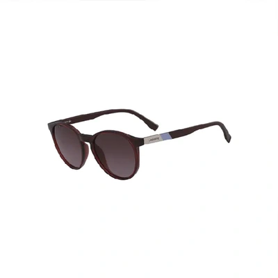 Shop Lacoste Unisex Plastic Round Color Block Sunglasses In Burgundy