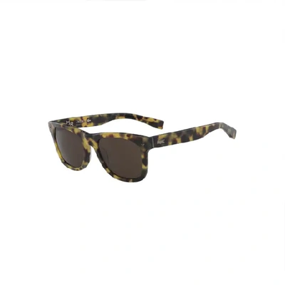 Shop Lacoste Unisex Plastic Rectangular 85° Anniversary L.12.12 Sunglasses - One Size In Brown