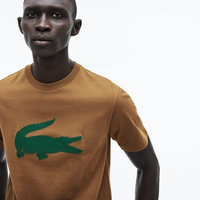 Shop Lacoste Men's Crew Neck Oversized Crocodile Cotton Jersey T-shirt In Brown / Green