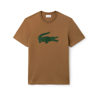 Shop Lacoste Men's Crew Neck Oversized Crocodile Cotton Jersey T-shirt In Brown / Green