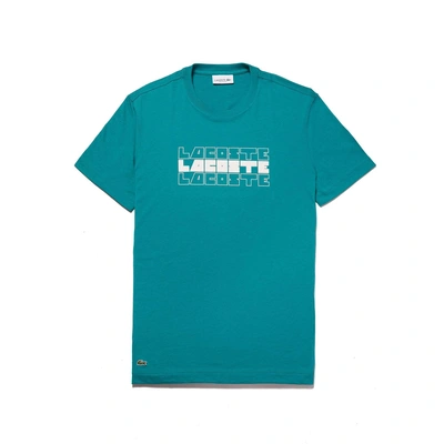 Shop Lacoste Men's Crew Neck Lettering Cotton Jersey T-shirt In Green