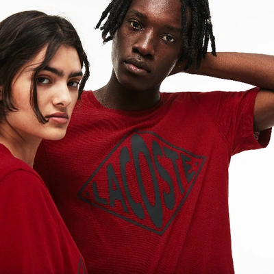 Shop Lacoste Unisex Live Crew Neck Oversized Logo Jersey T-shirt In Red / Black