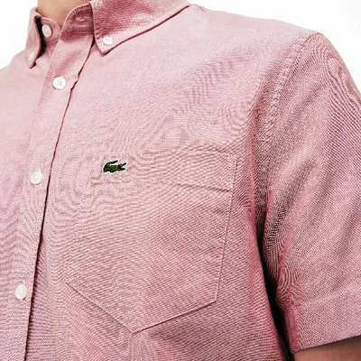 Shop Lacoste Men's Regular Fit Oxford Cotton Shirt In Sierra Red