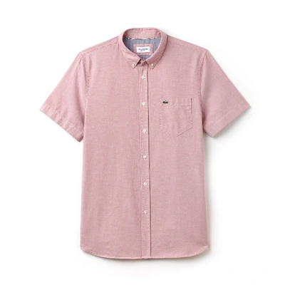 Shop Lacoste Men's Regular Fit Oxford Cotton Shirt In Sierra Red