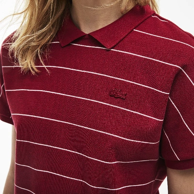 Shop Lacoste Women's Finely Striped Honeycomb Polo In Bordeaux / Beige