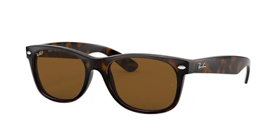 Shop Ray Ban Ray In Polarized Brown Classic B-15