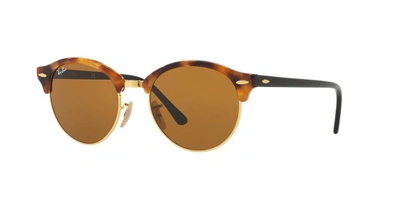 Ray Ban Ray In Brown Classic B-15