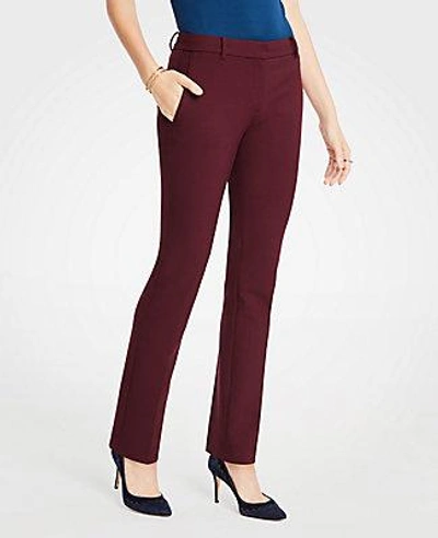 Shop Ann Taylor The Petite Straight Leg Pant - Curvy Fit In Rosy Plum