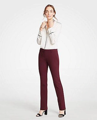 Shop Ann Taylor The Petite Straight Leg Pant In Rosy Plum