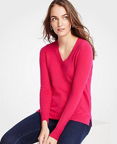 Shop Ann Taylor Cashmere V-neck Sweater In Wild Cyclamen