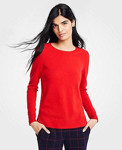Shop Ann Taylor Cashmere Crew Neck Sweater In Jubilee